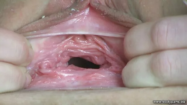 美丽的屁股舔，同性恋，面对面在当父亲钓鱼。 撞美女