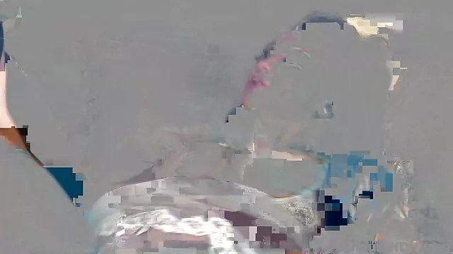 猫吃 俯卧骨肛门