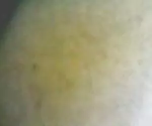 中国色情 年轻的肛门管