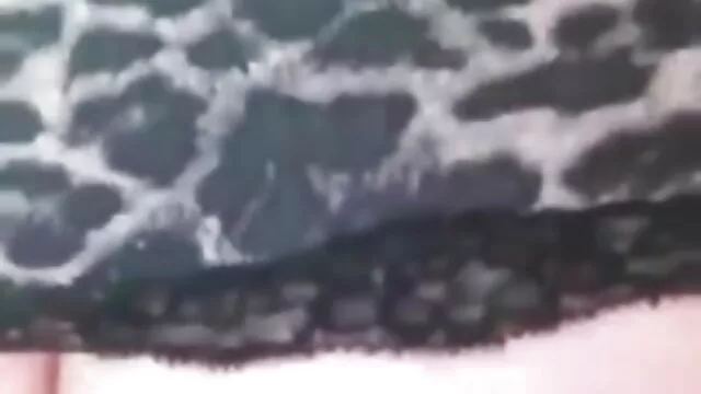 肯特使者克里斯托夫*凯拉 杰西简肛门